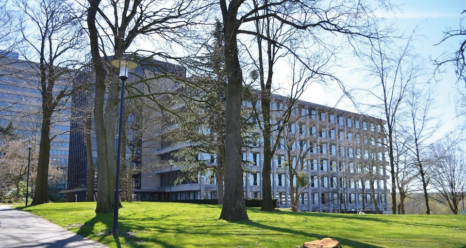 Facilitor ‘smeerolie’ voor succesvolle samenwerking op Brightlands Smart Services Campus Facilitor ‘smeerolie’ voor succesvolle samenwerking op Brightlands Smart Services Campus