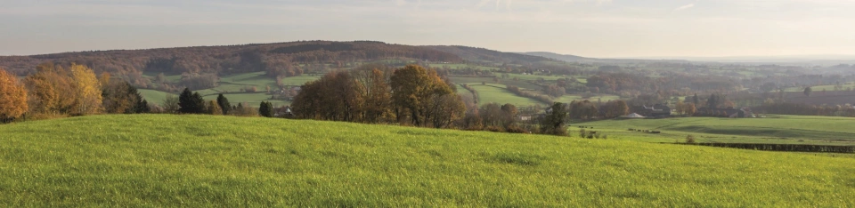 Limburg Limburg