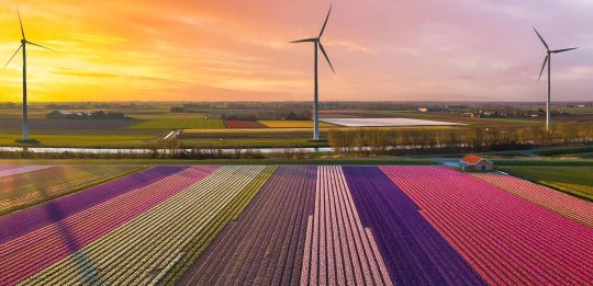 OFW benut alle fiscale ruimte door vastlegging op objectniveau OFW benut alle fiscale ruimte door vastlegging op objectniveau